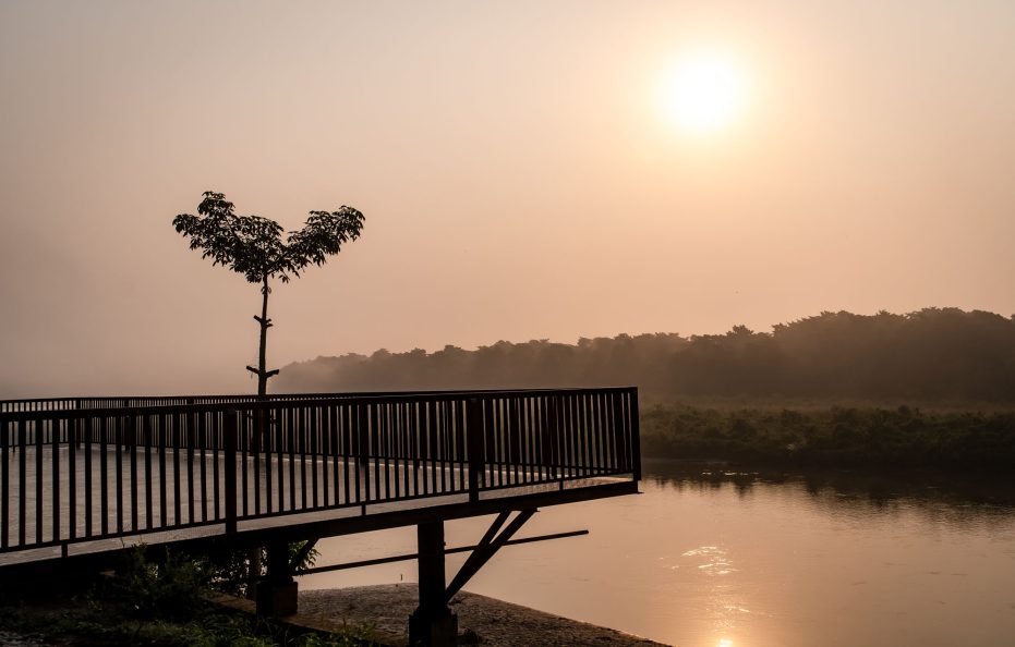 Riverbank Jungle Resort